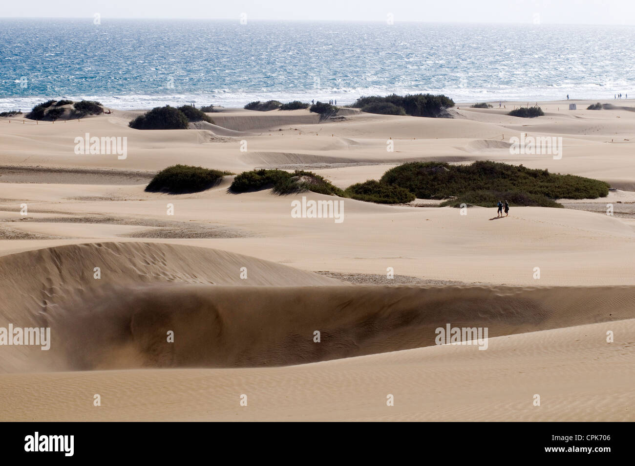 Maspalomas gran canaria sand dune dunes wind blown desert deserts arid places of beach beaches Playa Del Ingles el oasis Stock Photo