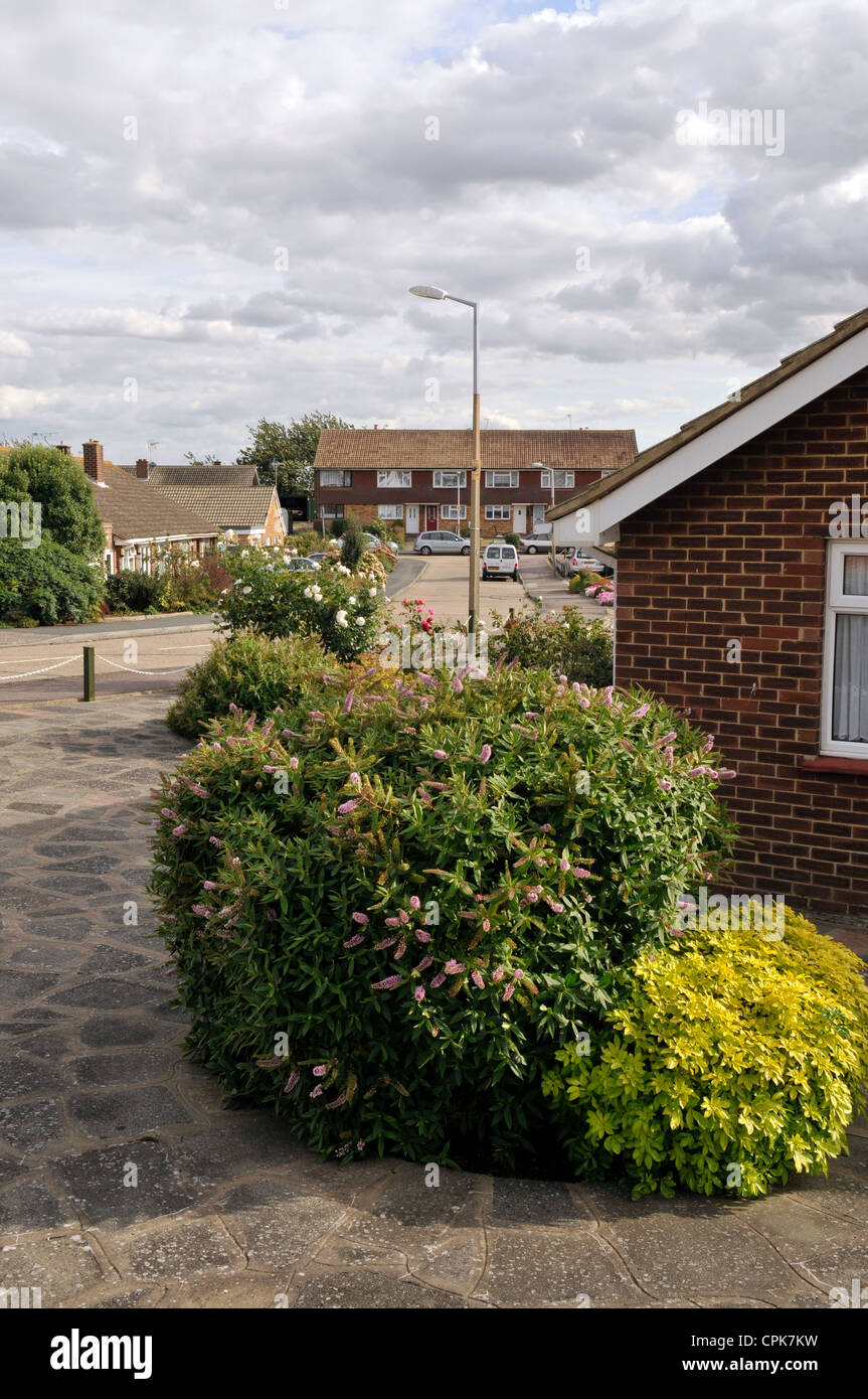 Suburban street scene in Birchington, Kent Stock Photo Alamy