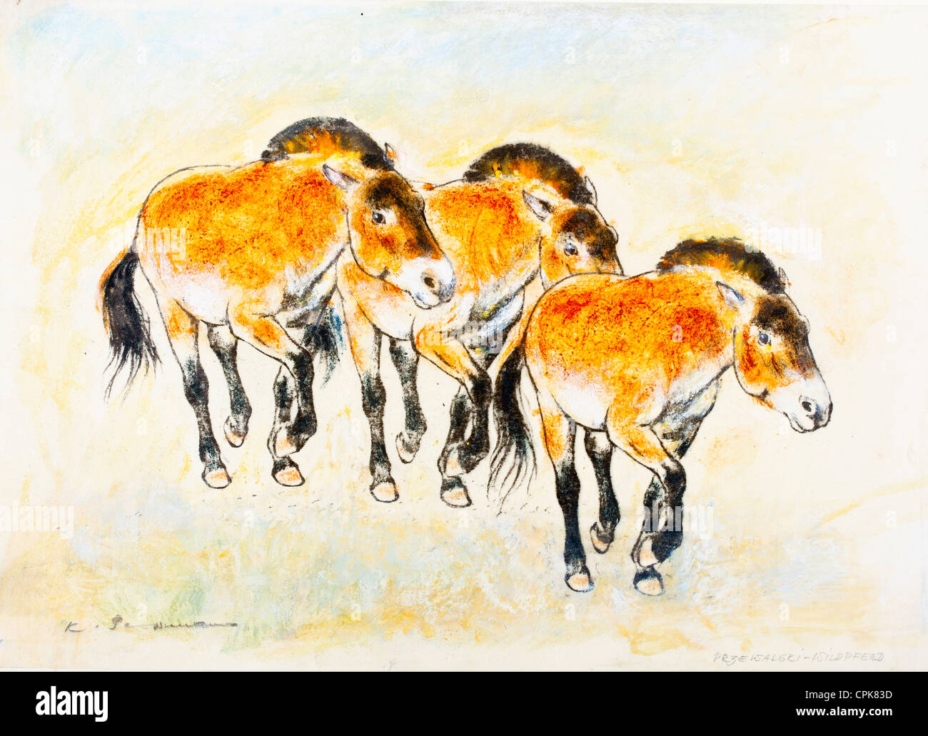 Group of Przewalski’s horses (Equus ferus przewalskii) pastel chalk