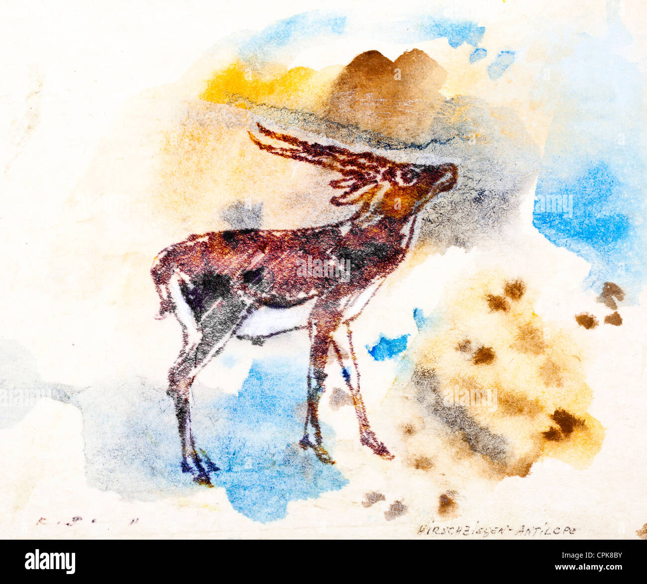 Blackbuck Antelope (Antilope Cervicapra) - Water Color On Paper By Kurt ...