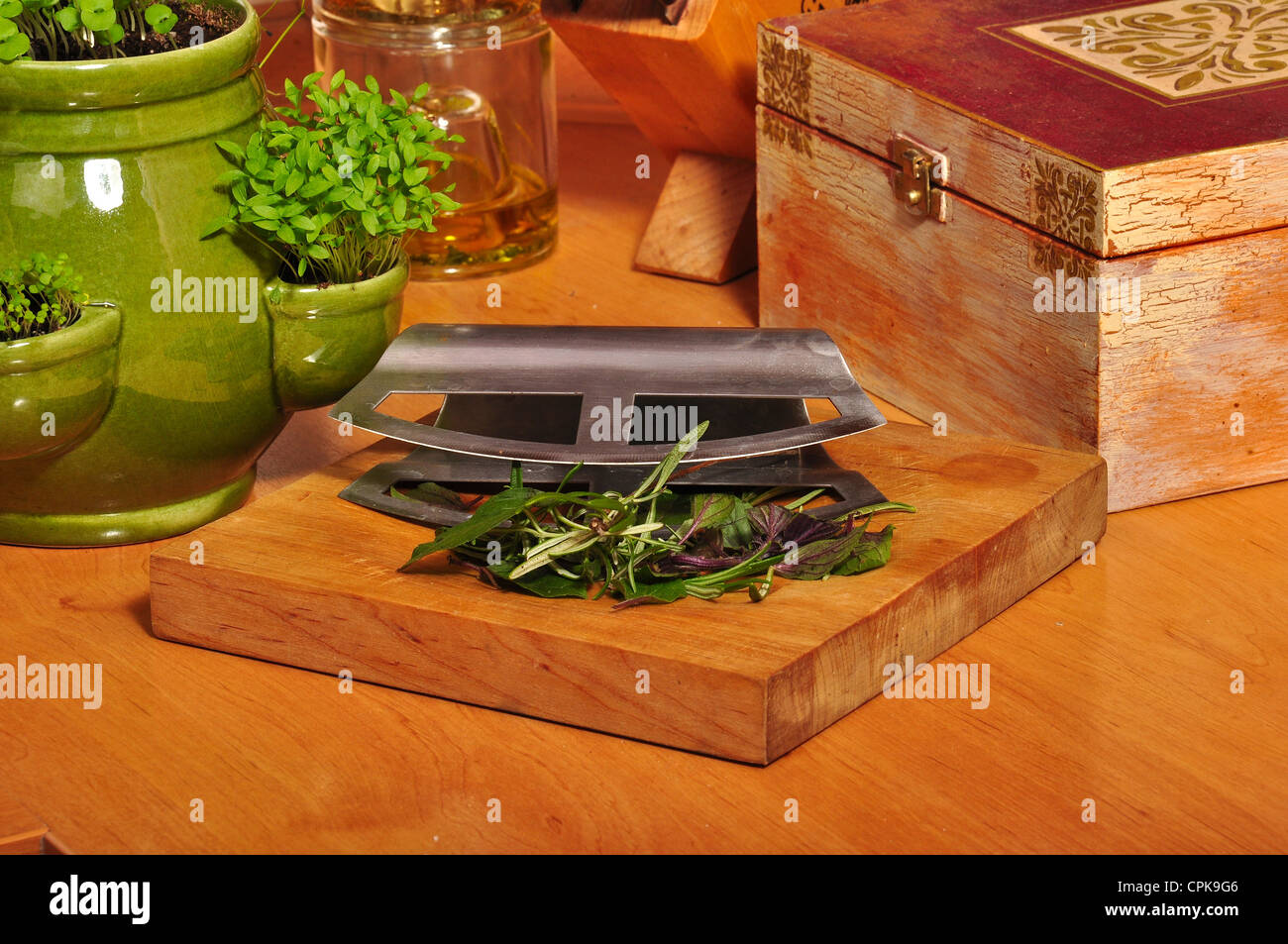 https://c8.alamy.com/comp/CPK9G6/photo-of-fresh-herbs-in-kitchen-CPK9G6.jpg