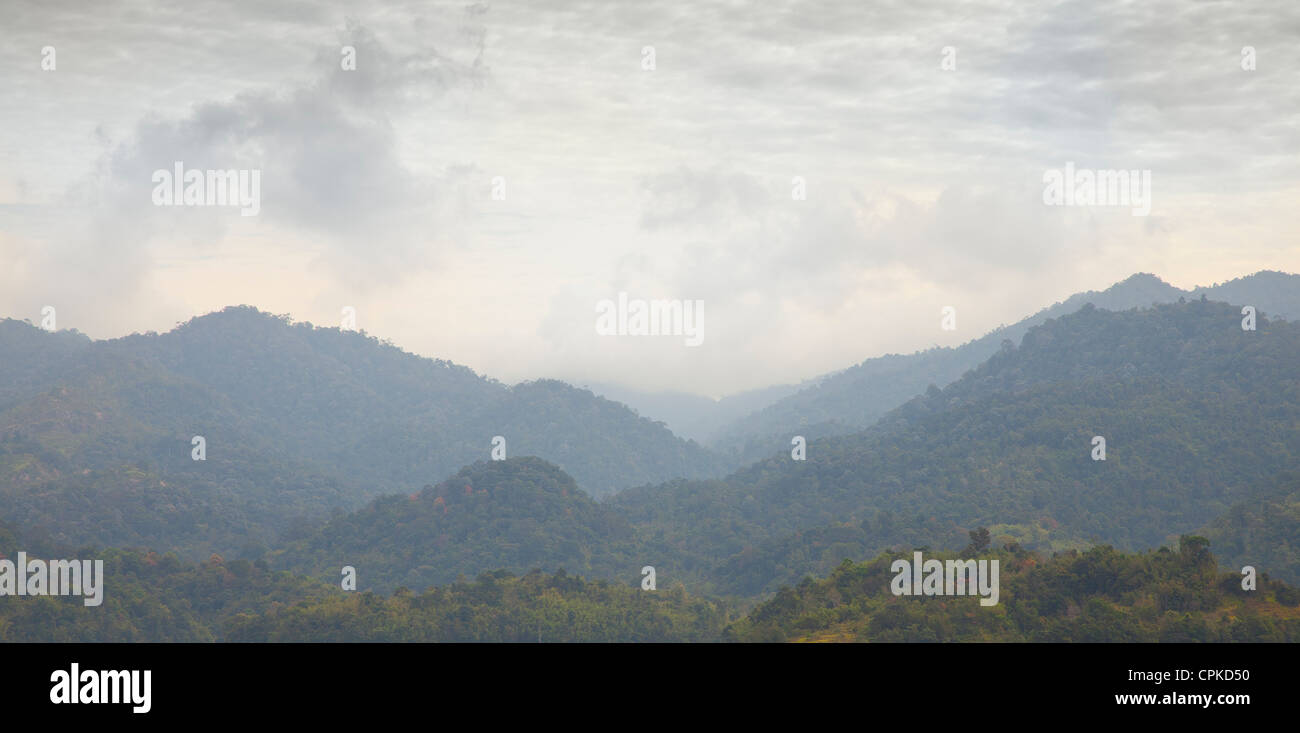 Misty highland rainforest view, Malaysia Stock Photo