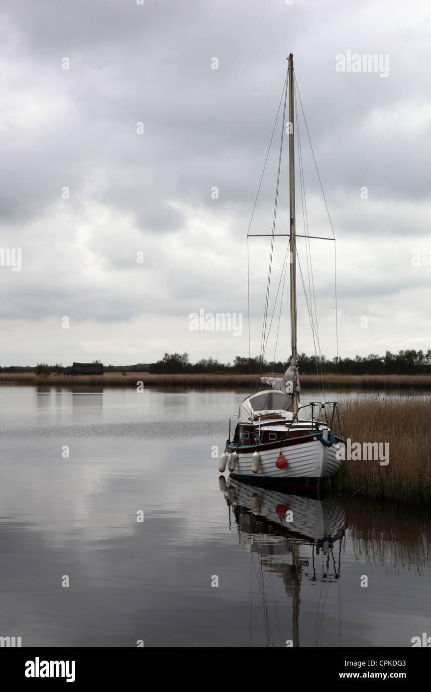 Sailing boat near Horsey mere on the Norfolk Broads. Stock Photo