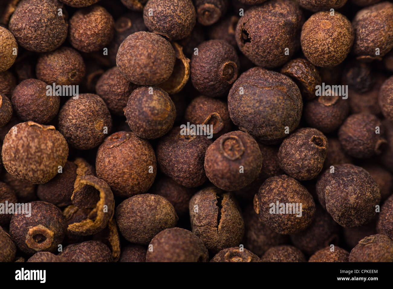 pimento seeds allspice