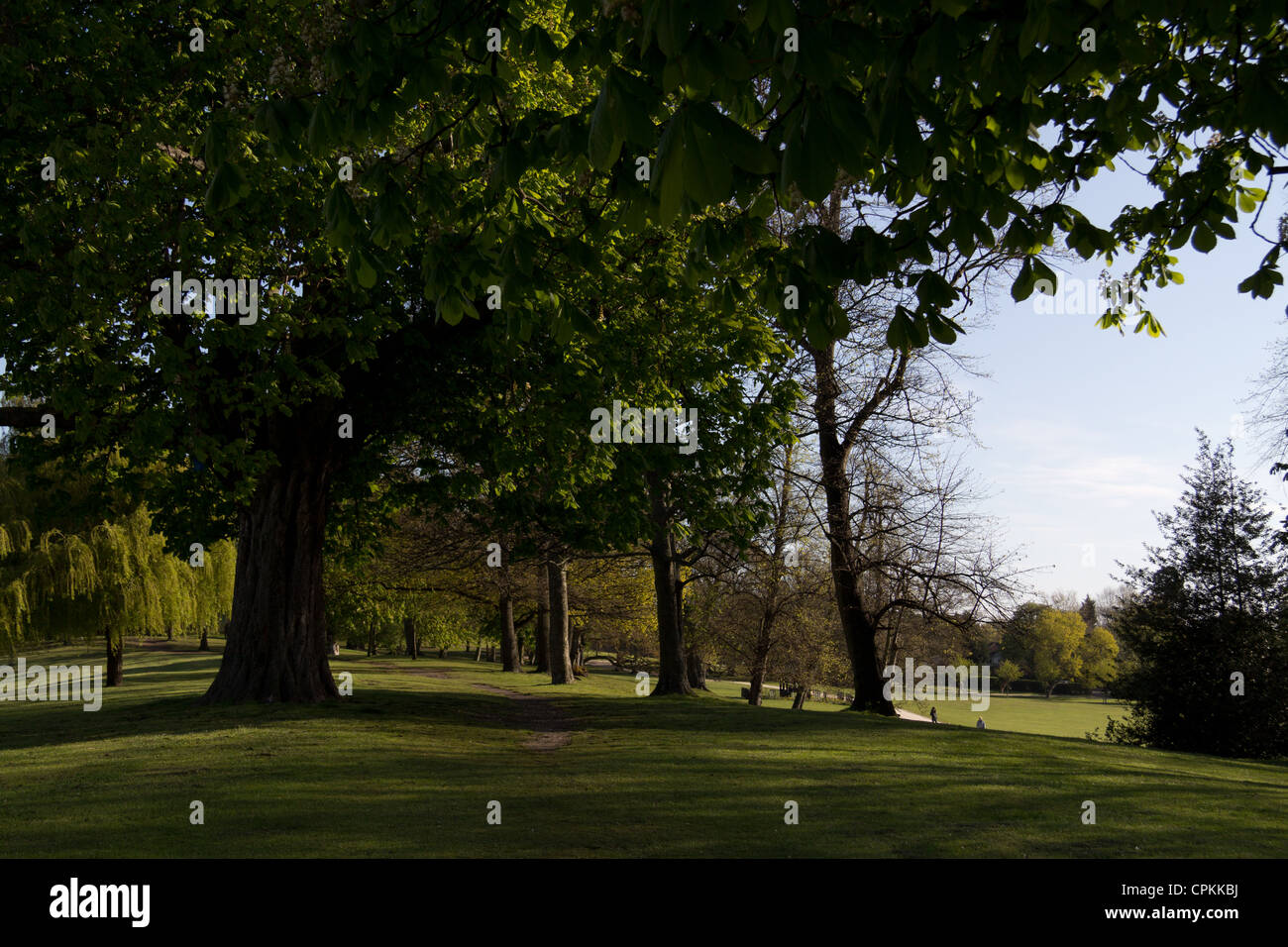 Crystal Palace park in the morning Stock Photo - Alamy