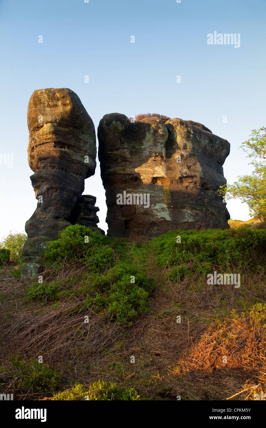 Brimham Rocks balancing natural rock formations in North Yorkshire Dales,  Active kids and visiting tourists at the National Trust Site with holidayin Stock Photo