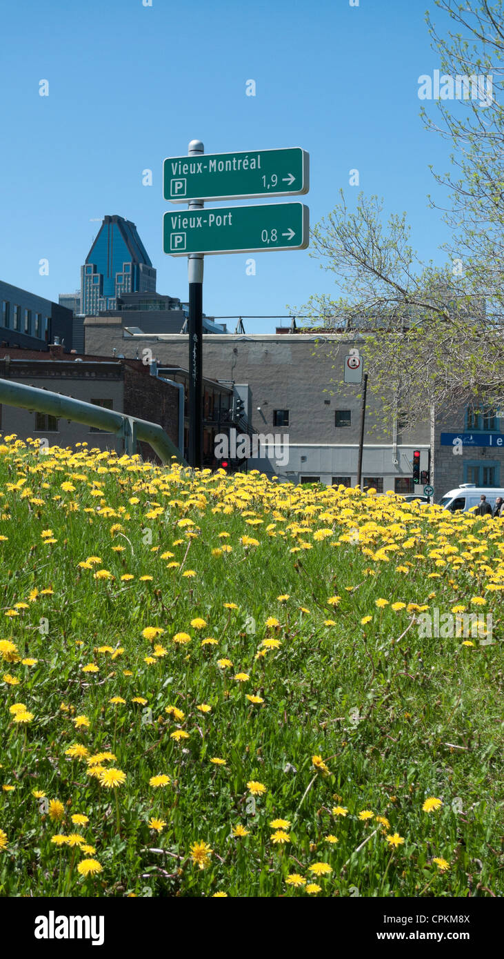 Signs showing way to Vieux Montreal and Vieux Port in a green city ...