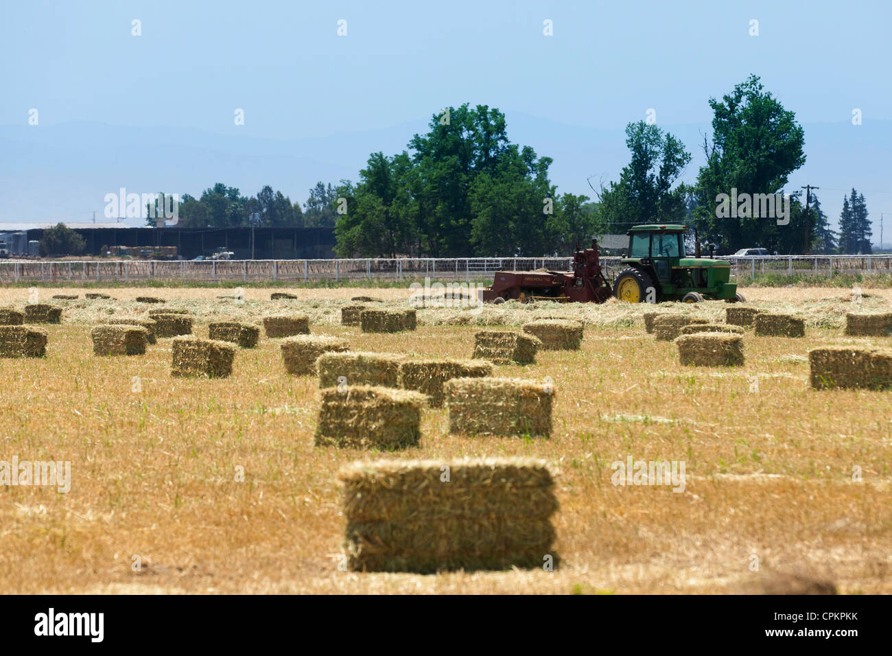 Hay bales on farmland - California USA Stock Photo