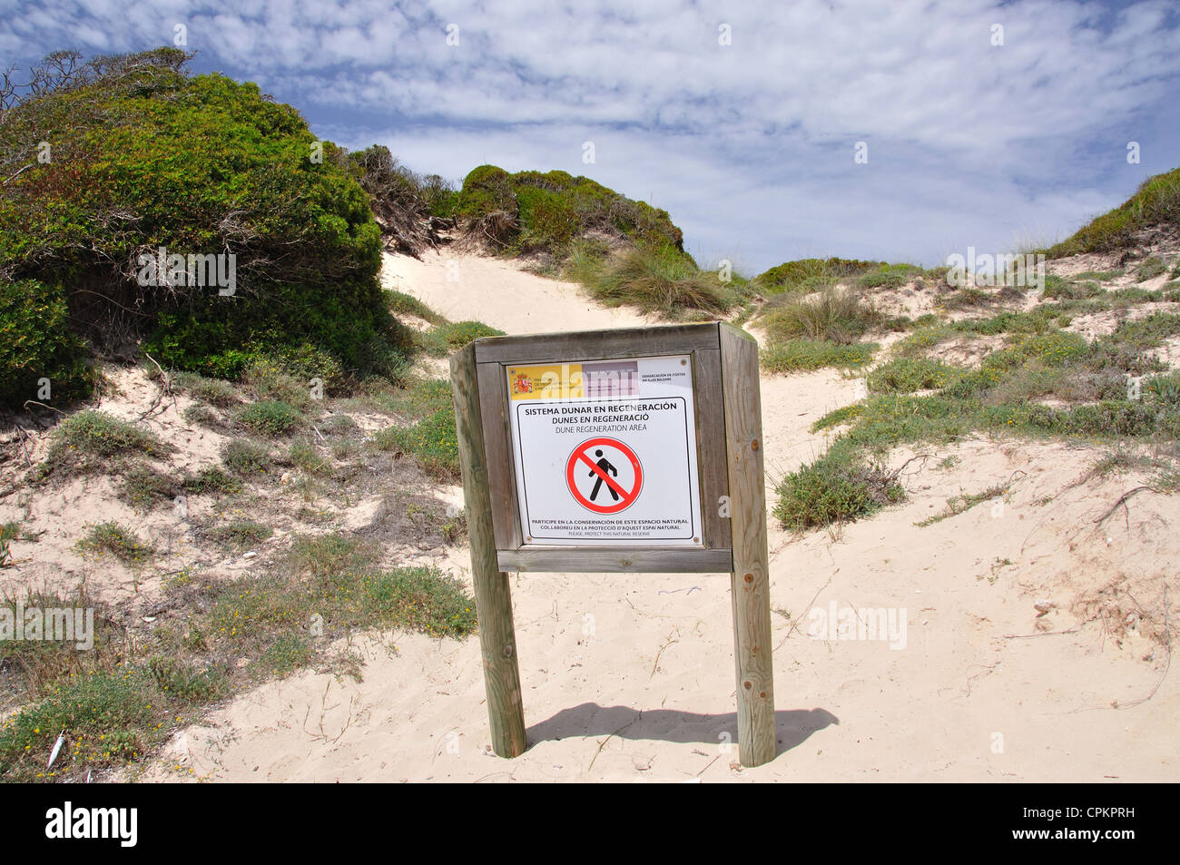 Sand dune conservation at Platja de Sant Tomàs, Sant Tomàs, Menorca, Balearic Islands, Spain Stock Photo