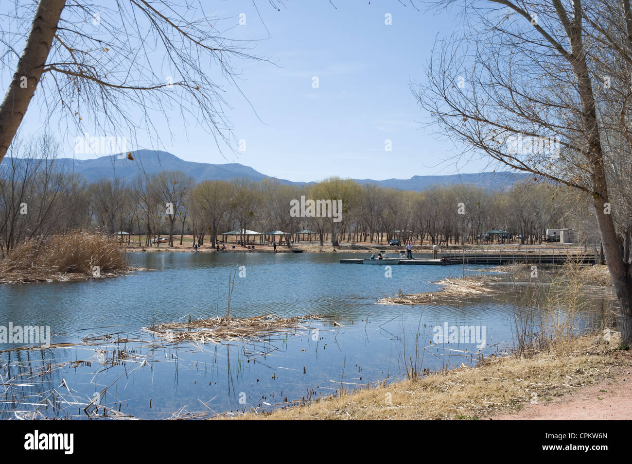 Dead Horse Ranch State Park, Cottonwood, Arizona, USA Stock Photo Alamy