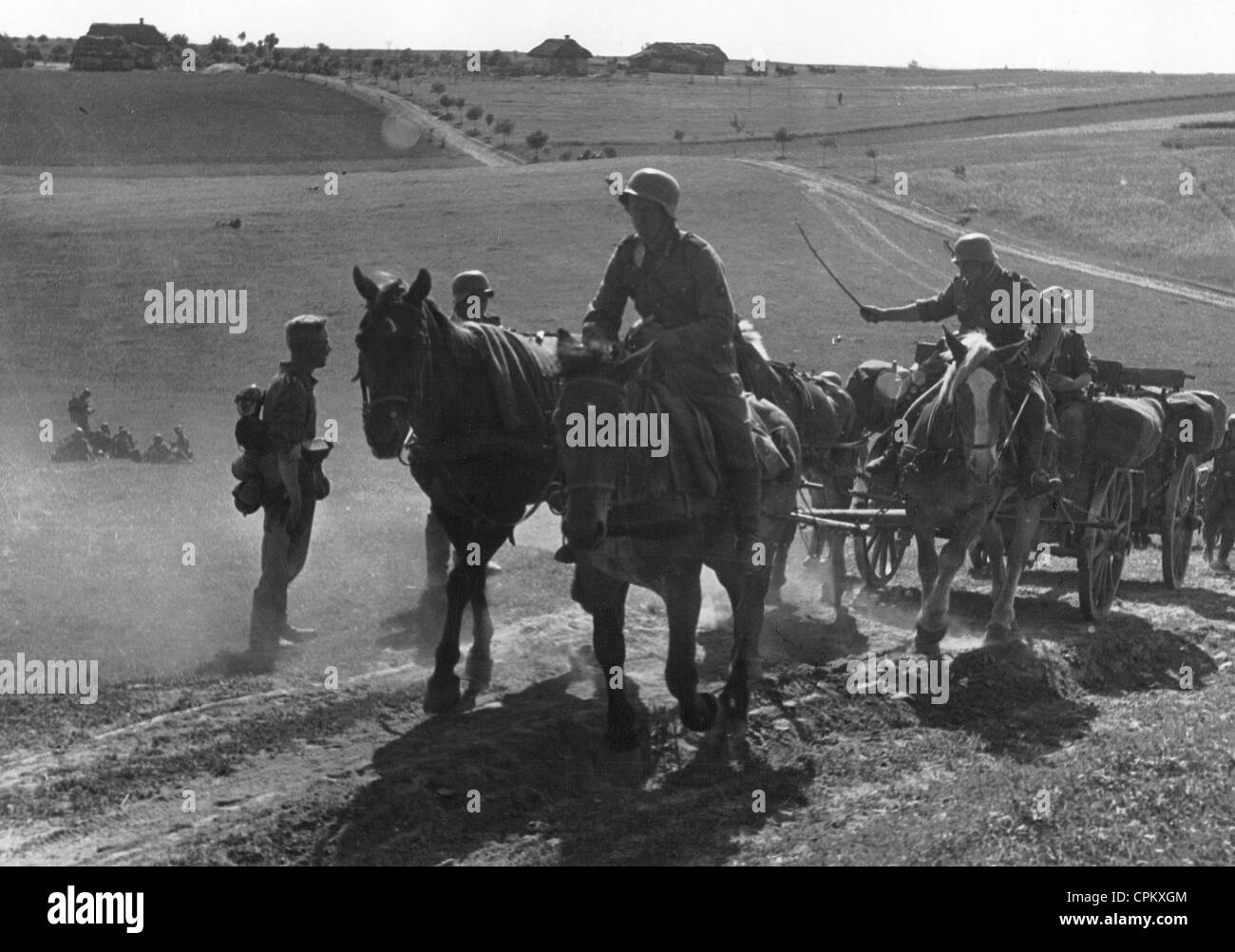 German horse cart on the Eastern Front, 1941 Stock Photo Alamy