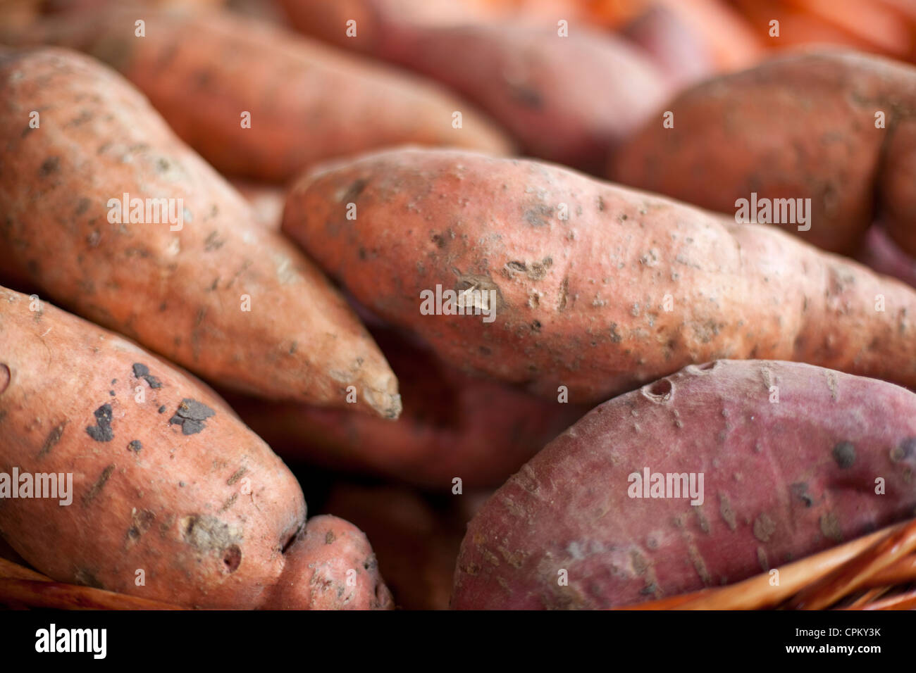 Sweet potatoes tubers. Stock Photo