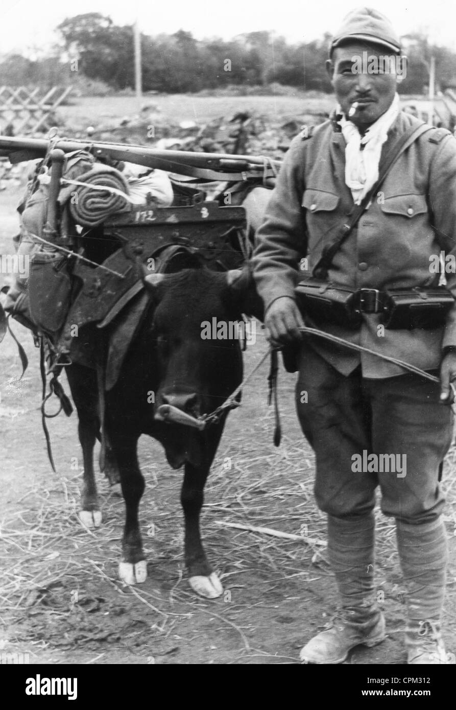 Japanese soldier during the Battle of Nanking, 1938 Stock Photo Alamy