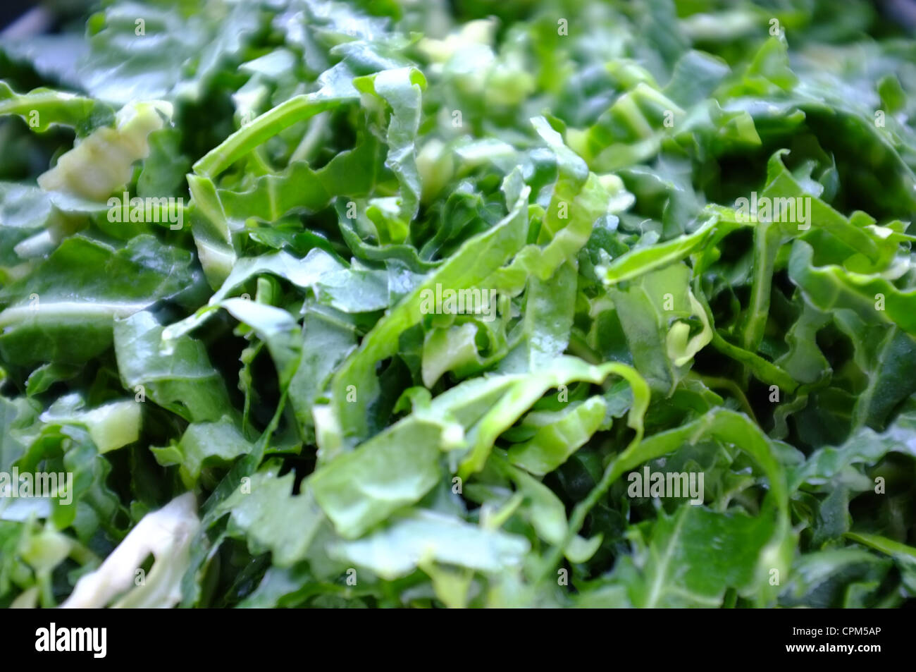 Green cabbage/Spring Greens chopped and prepared for steaming Stock Photo