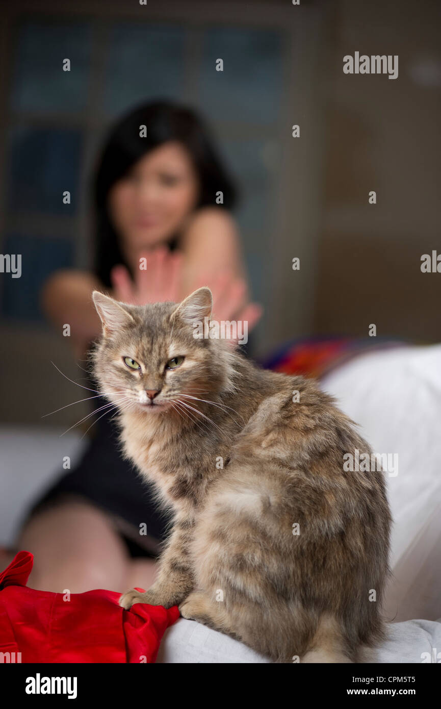 WOMAN WITH ANIMAL Stock Photo Alamy