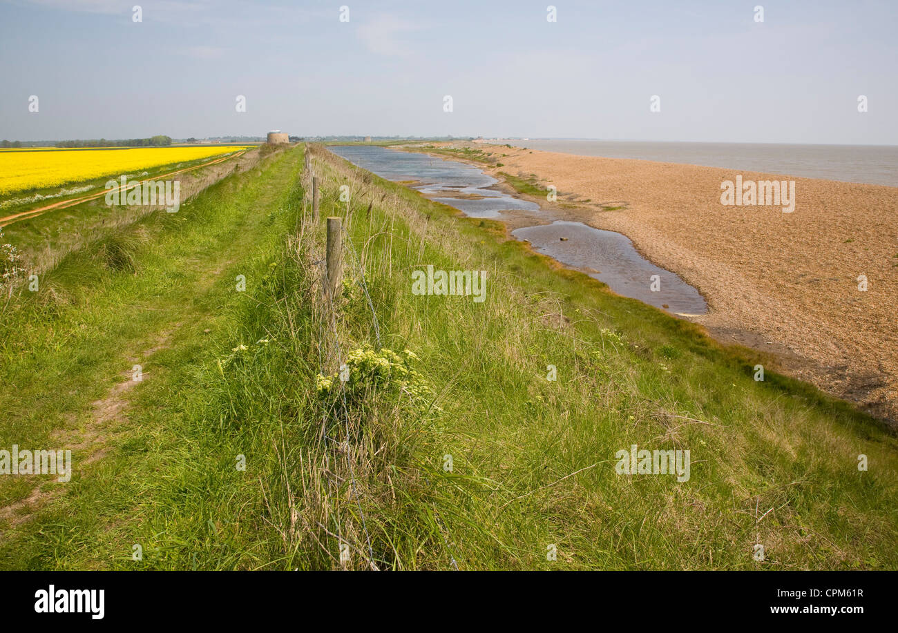 Shingle bay bar beach North Sea coast Alderton, Hollesley Bay, Suffolk, England Stock Photo