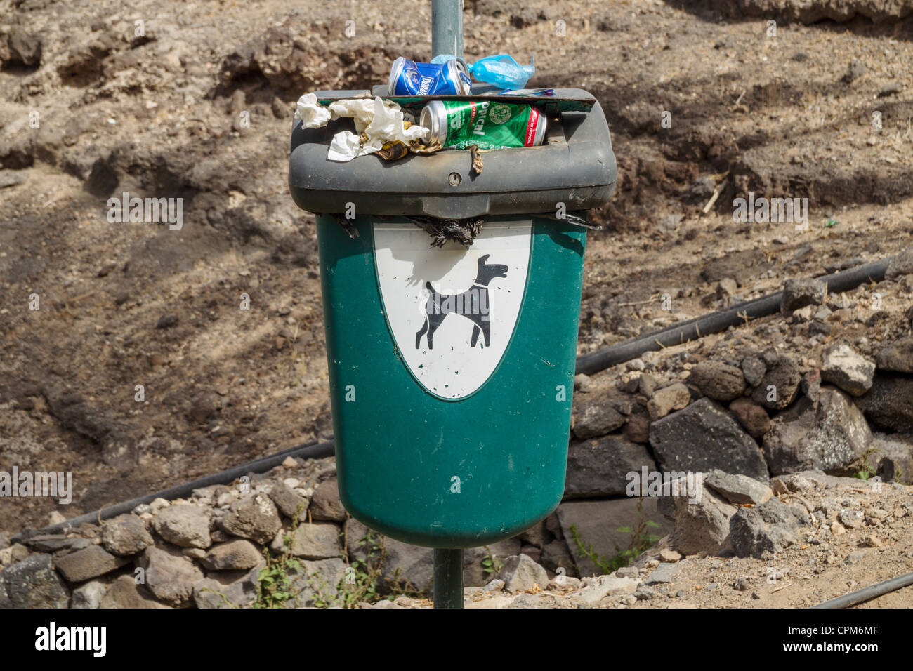 Bin for dog litter overflowing with rubbish Stock Photo