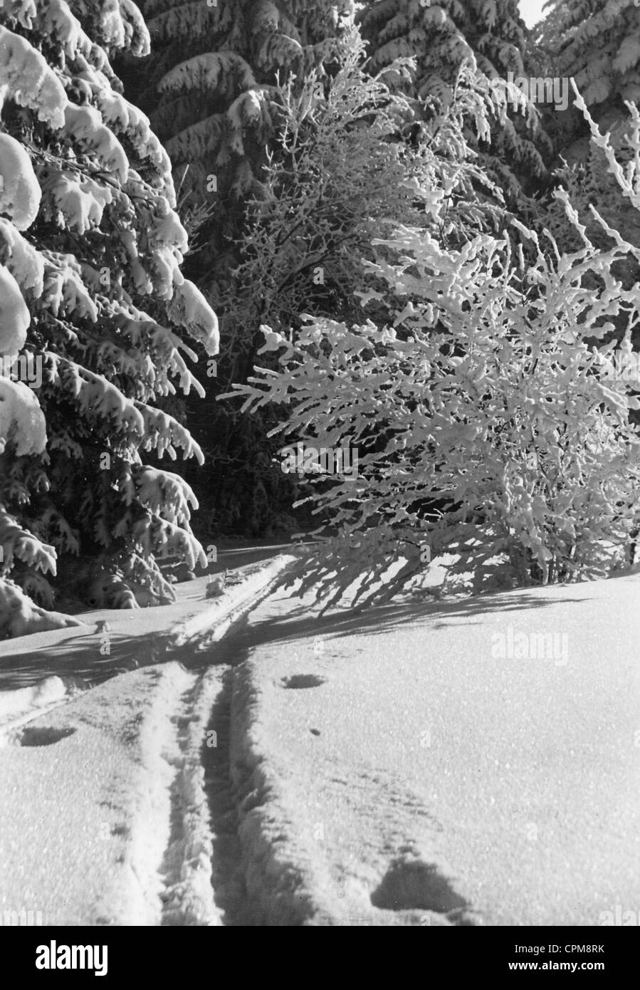 Spring 1929 Winter landscape, 1929 Stock Photo - Alamy