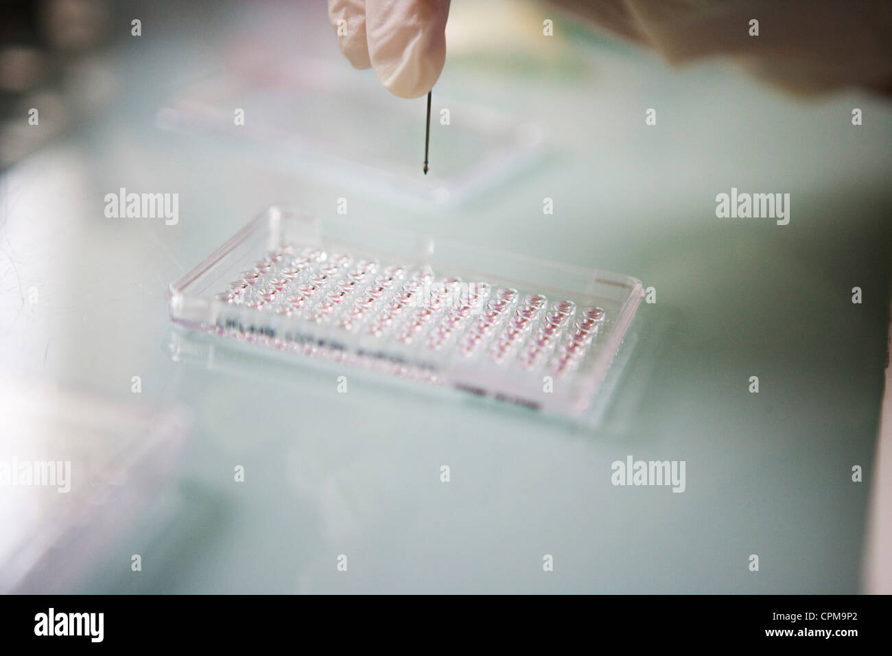 BLOOD ANALYSIS Stock Photo