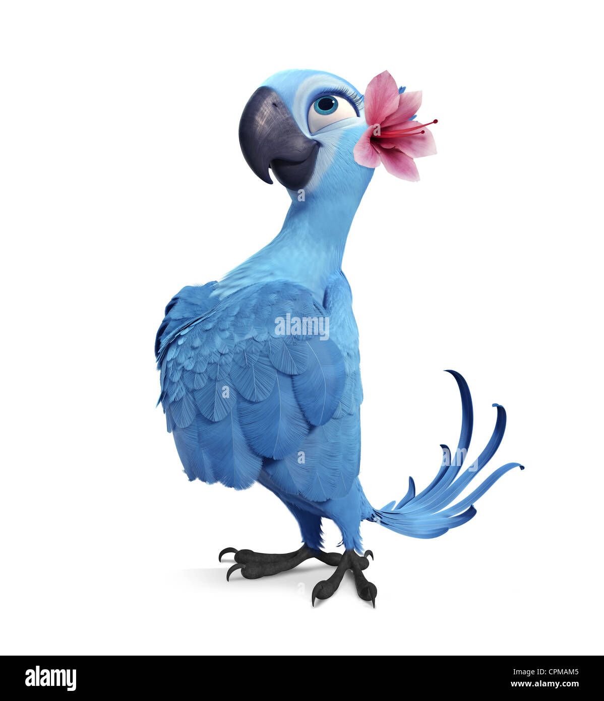 Rio Year 11 Usa Director Carlos Saldanha Animation Stock Photo Alamy