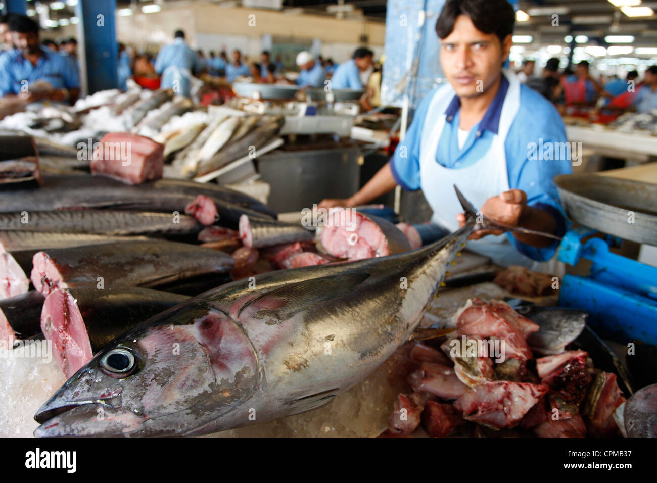 Old fish shop hi-res stock photography and images - Alamy