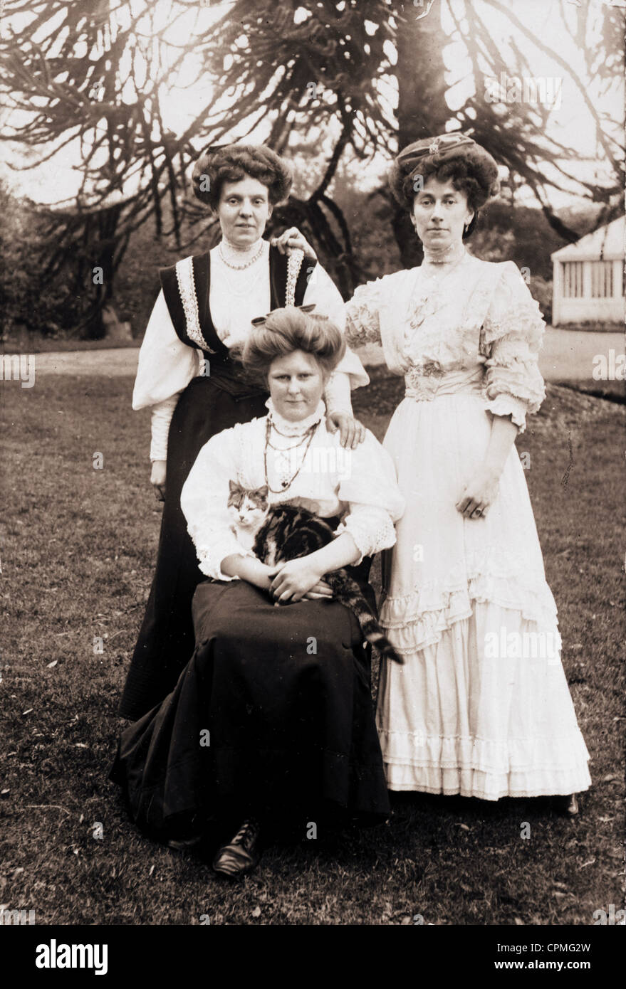 Three Edwardian Women on the Lawn with Cat Stock Photo