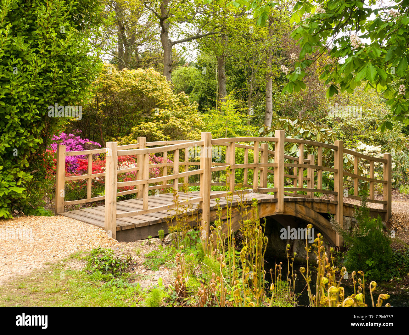 A bridge over the stream in the Japanese Garden with Azaleas and Rhododendrons in Exbury gardens, Hampshire. UK Stock Photo