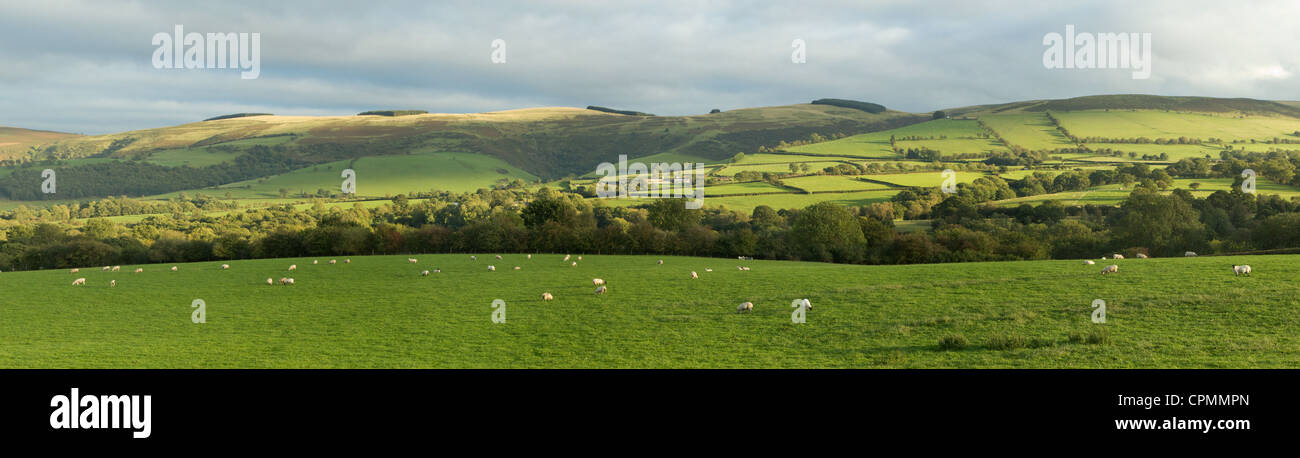 Panoramic view of the Welsh countryside near Garth. Stock Photo