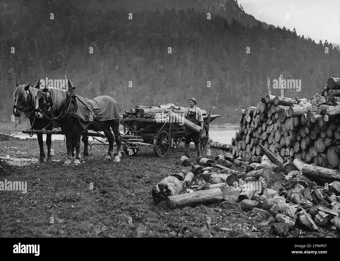 Woodcutter at work Stock Photo