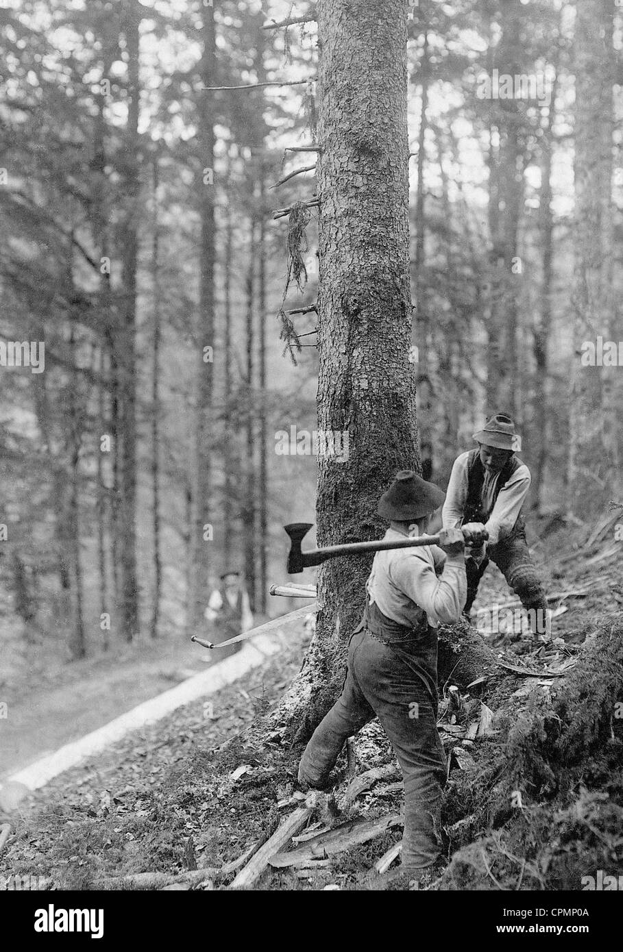 Woodcutter, 1913 Stock Photo