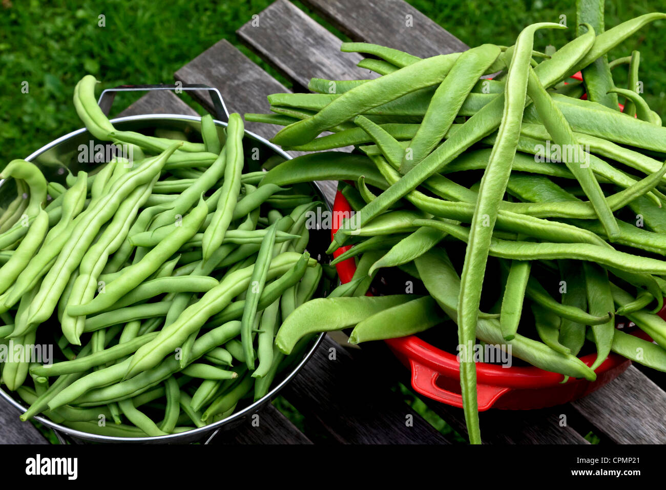 French beans hires stock photography and images Alamy