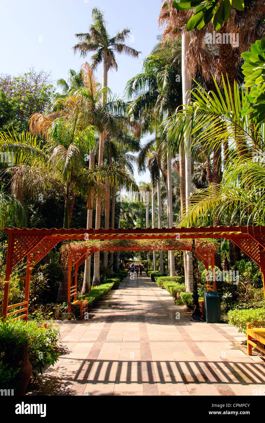 A palm-lined alley on Kitchener's Island - Aswan, Upper Egypt Stock Photo