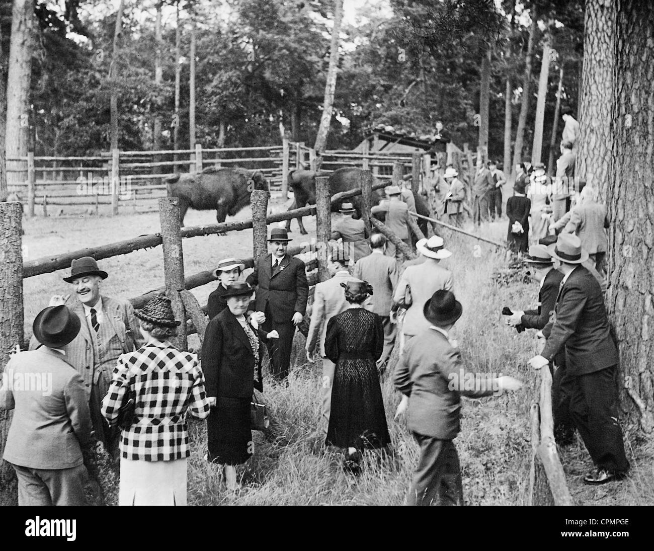 Participants in a conference visit the bison in Karinhall, 1938 Stock Photo