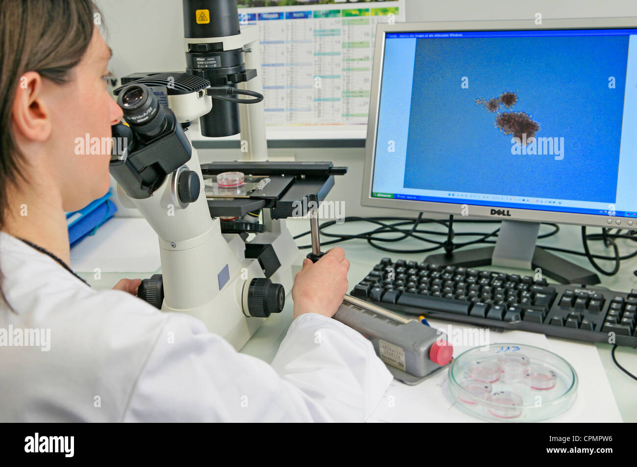 Laboratory Technique High Resolution Stock Photography and Images Alamy