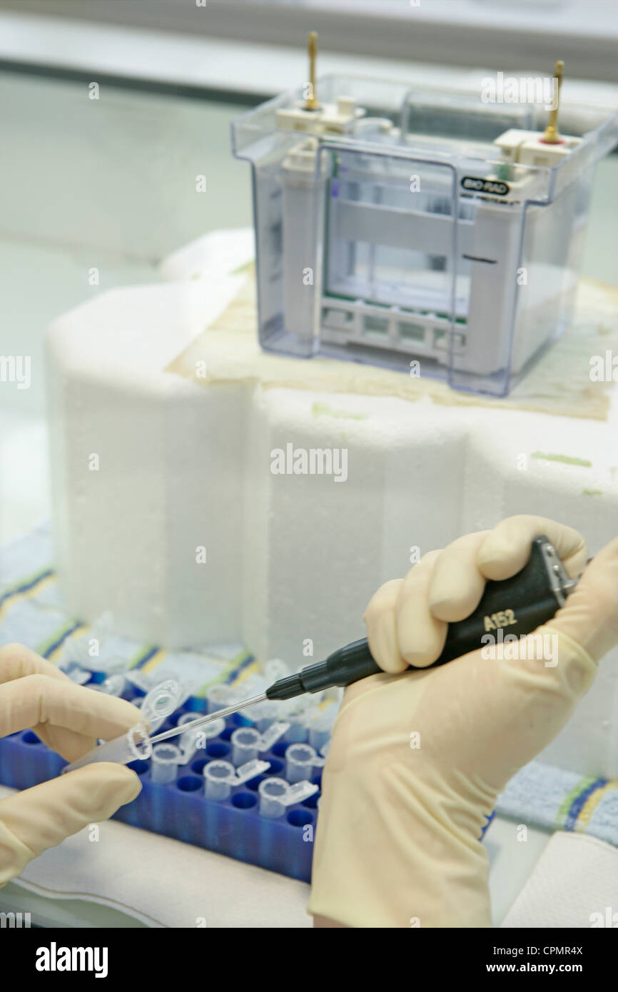 Electrophoresis of medicines hires stock photography and images Alamy
