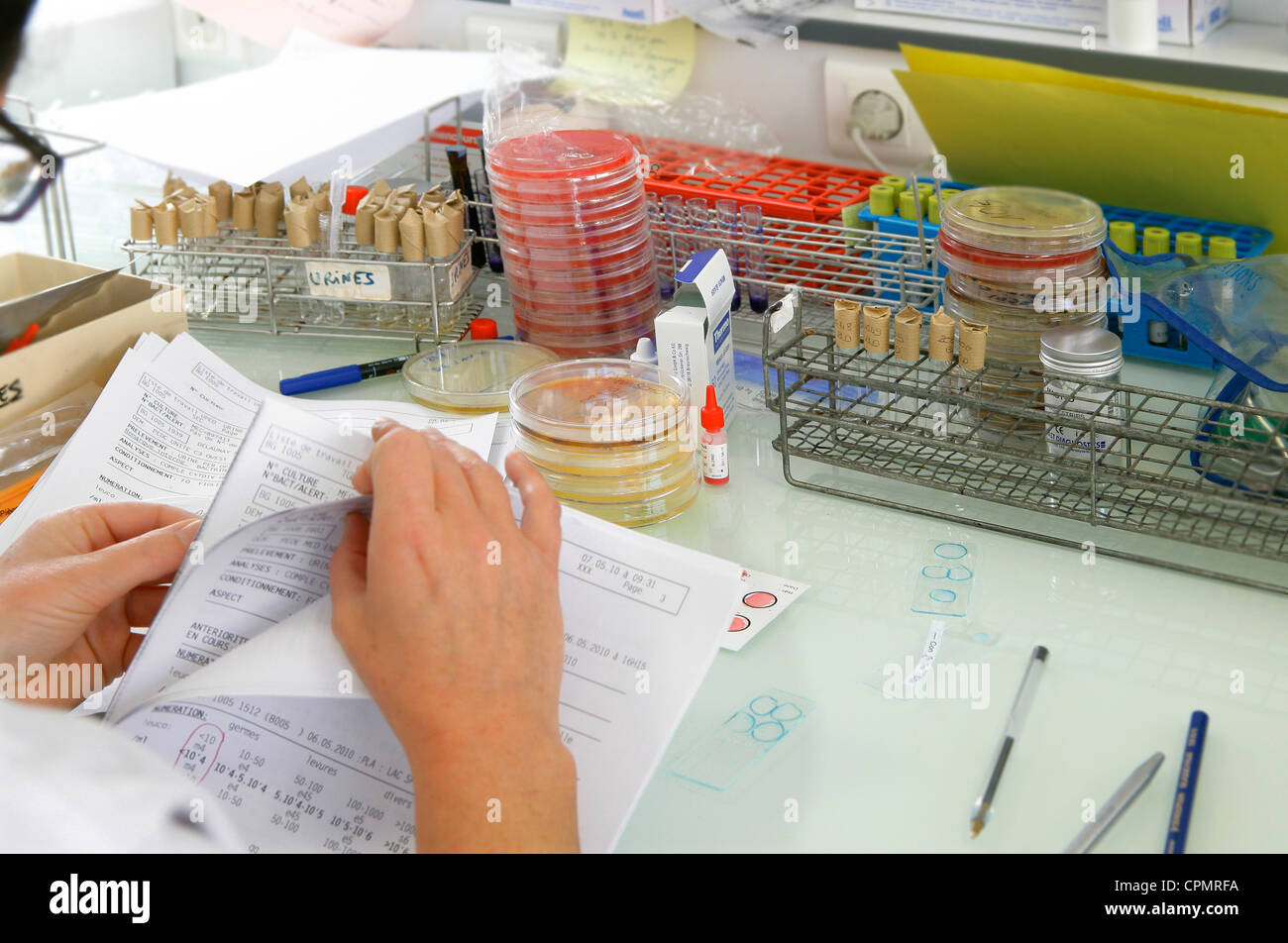 BACTERIOLOGY Stock Photo