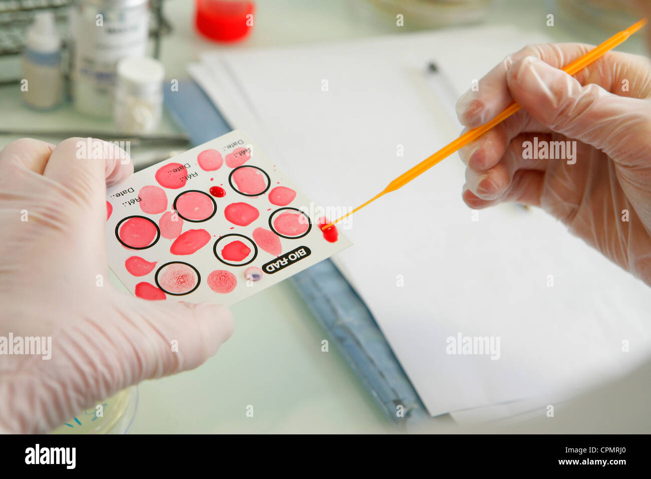 BACTERIOLOGY Stock Photo - Alamy