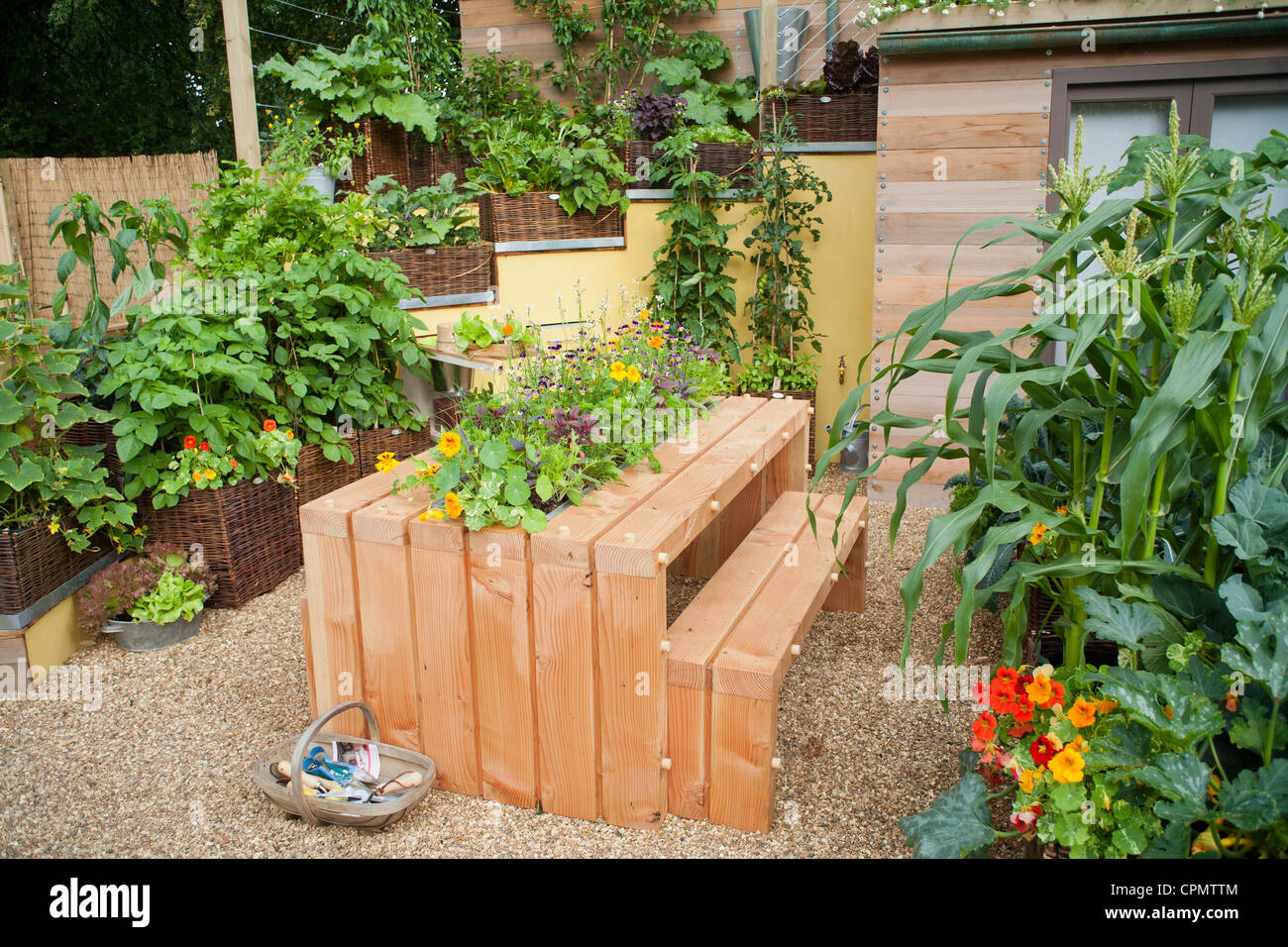 Contemporary courtyard with raised beds planted with vegetables. Stock Photo
