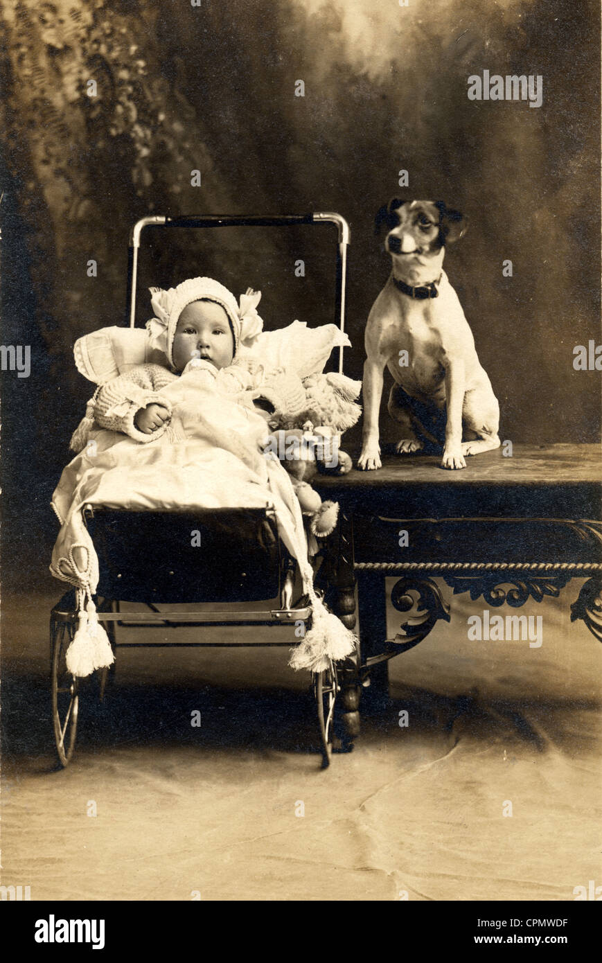 Jack Russell Terrier Guarding Infant in Baby Carriage Stock Photo