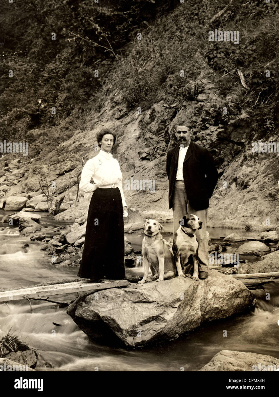 Well Dressed Couple in Wilderness with Two Large Dogs Stock Photo