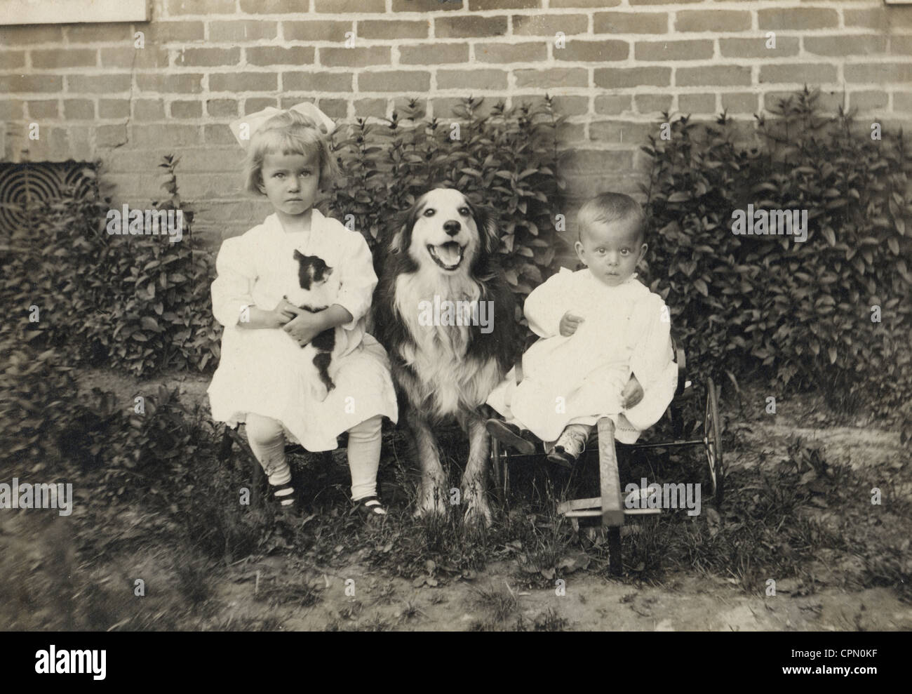 Two Little Children with Large Dog Between Them Stock Photo