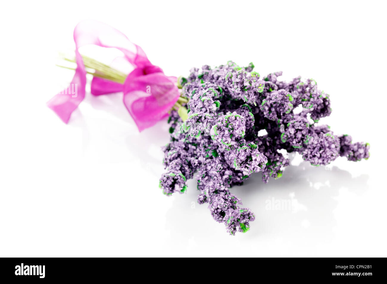 Bunch of of lavender on a white background Stock Photo