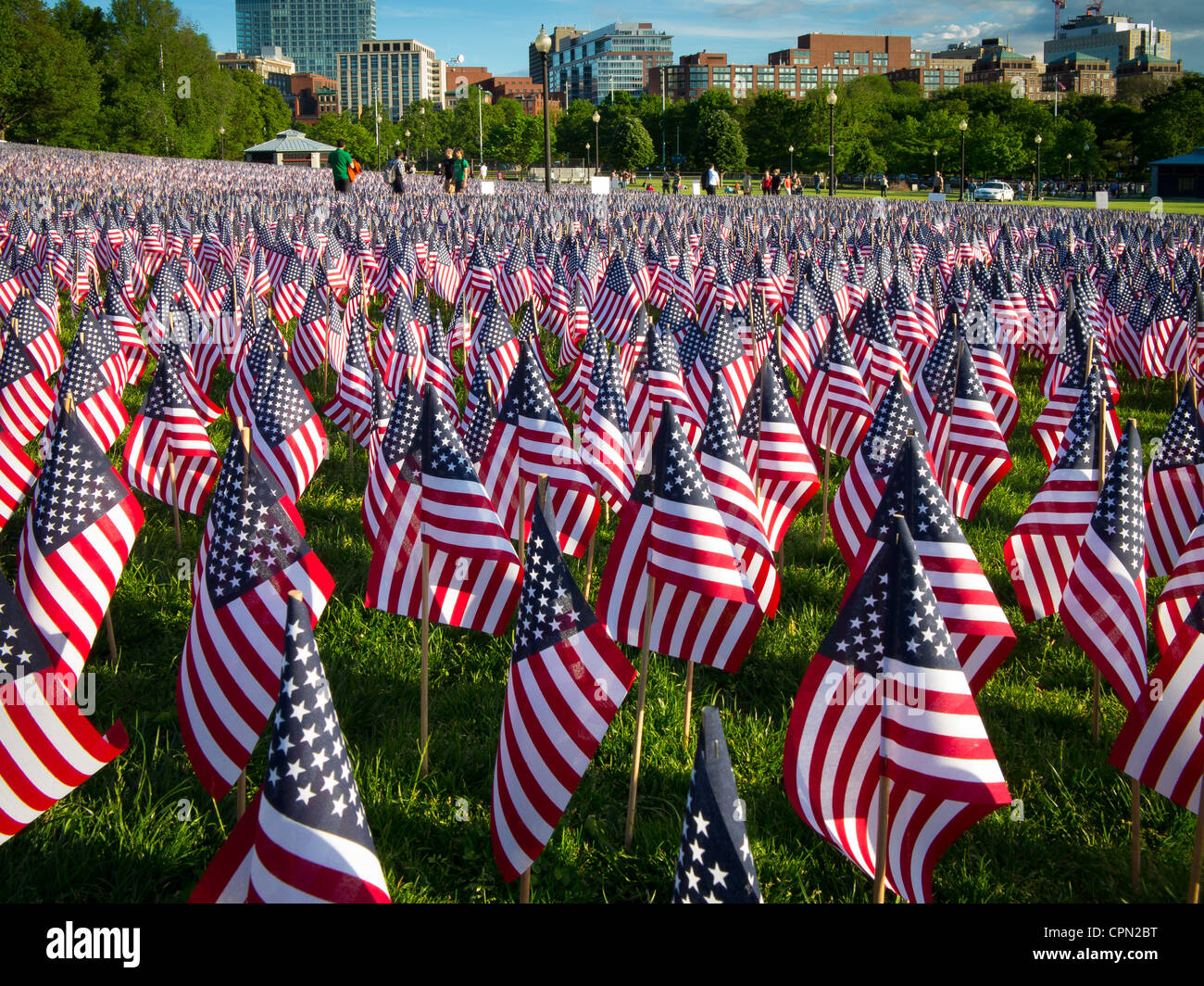 Flags on Memorial Day in Boston Commons Stock Photo Alamy