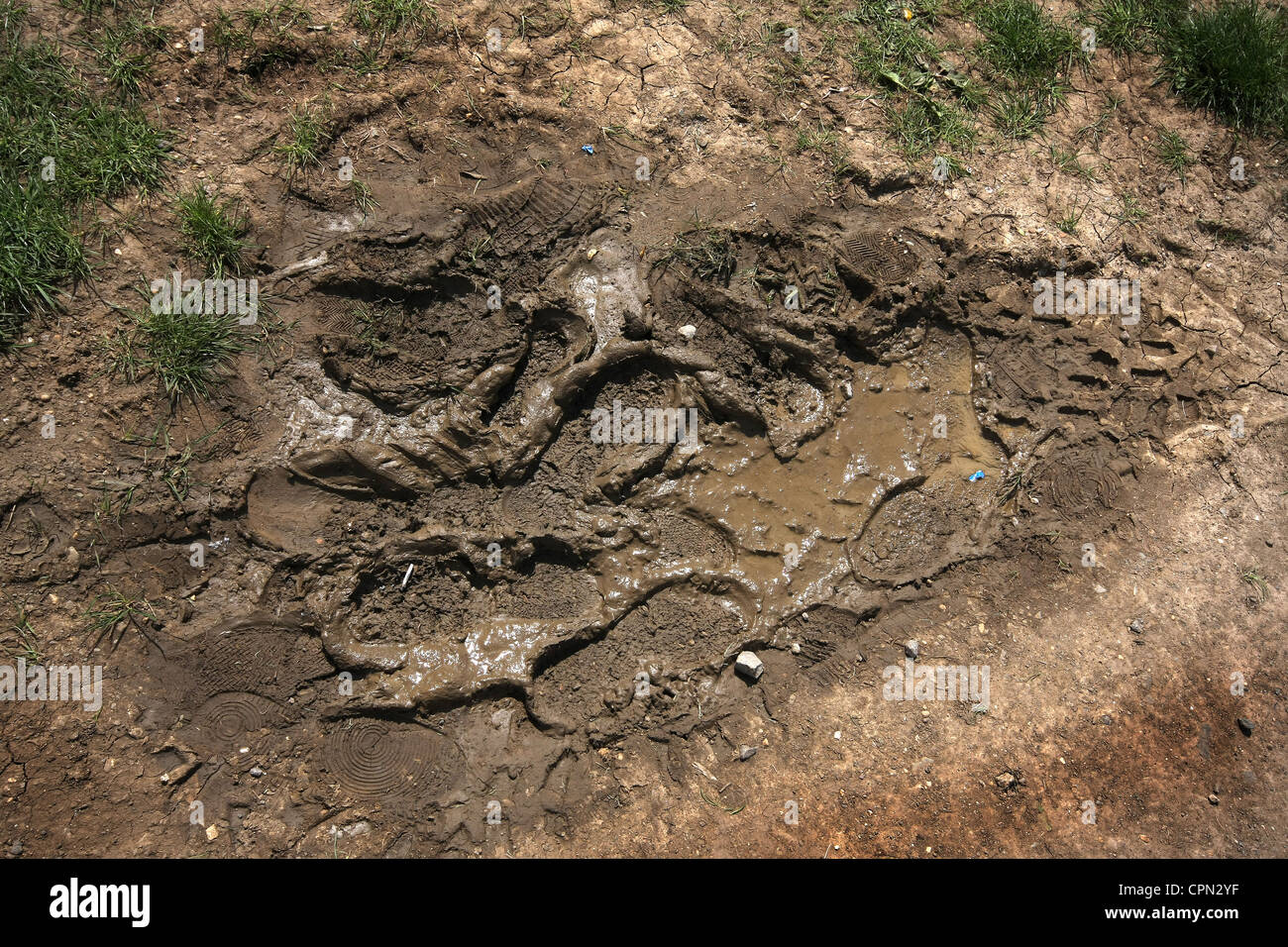 Muddy footprints hires stock photography and images Alamy