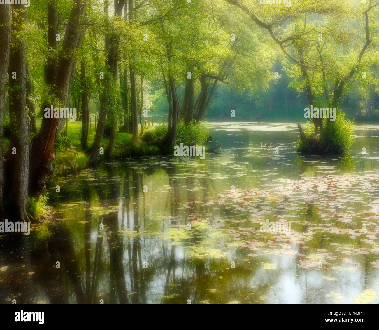 Dreamy lake. Stock Photo