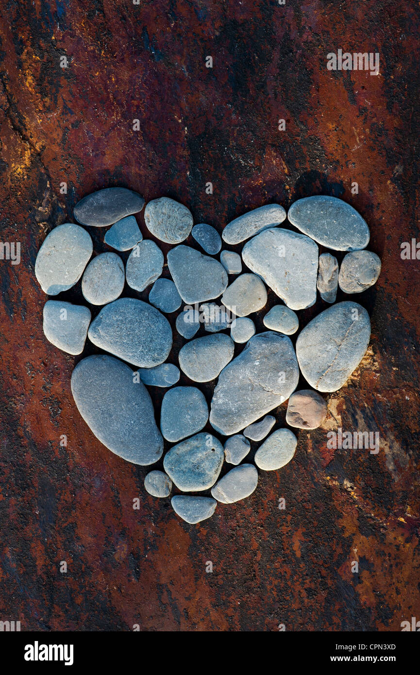 Heart shape pebbles on a texture slate background Stock Photo