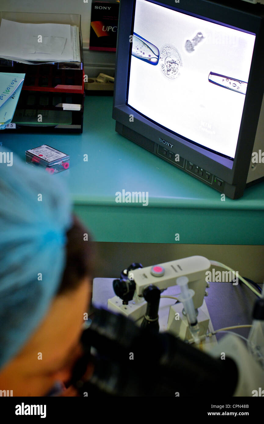 Ivf technique hi-res stock photography and images - Alamy
