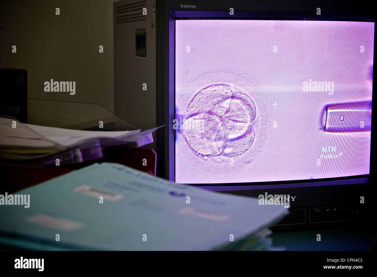 Ivf technique hi-res stock photography and images - Alamy