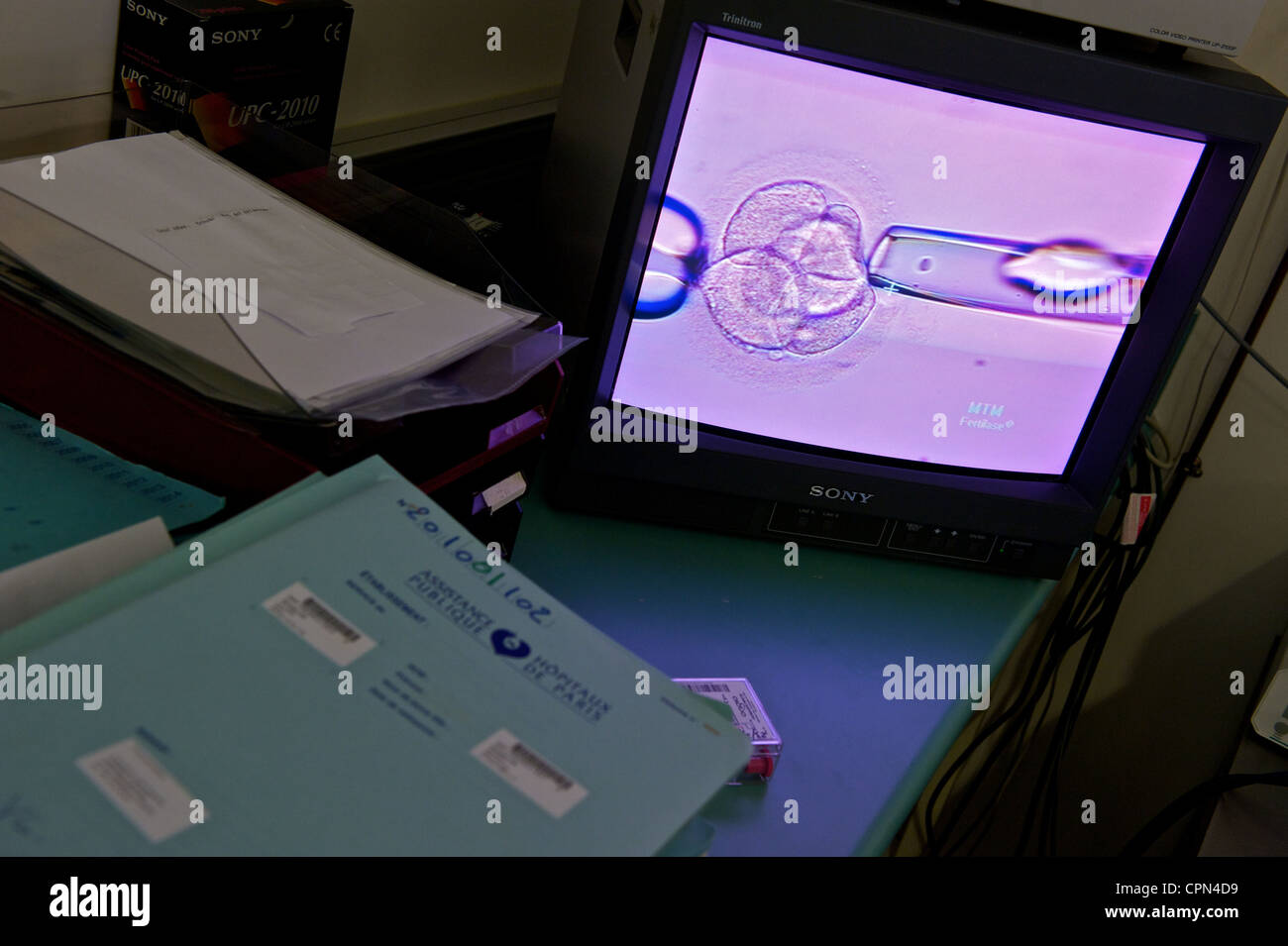 Ivf technique hi-res stock photography and images - Alamy