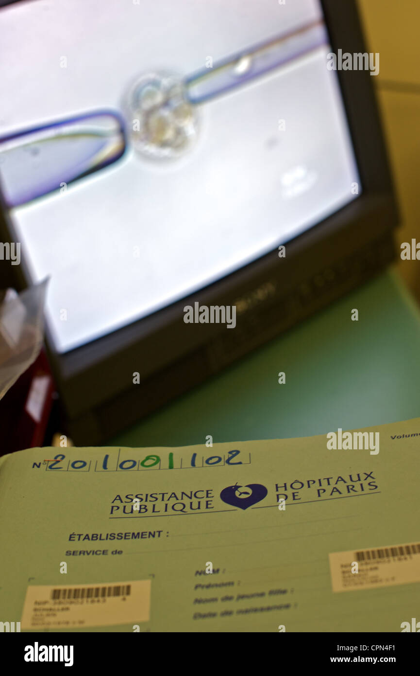 Ivf technique hi-res stock photography and images - Alamy